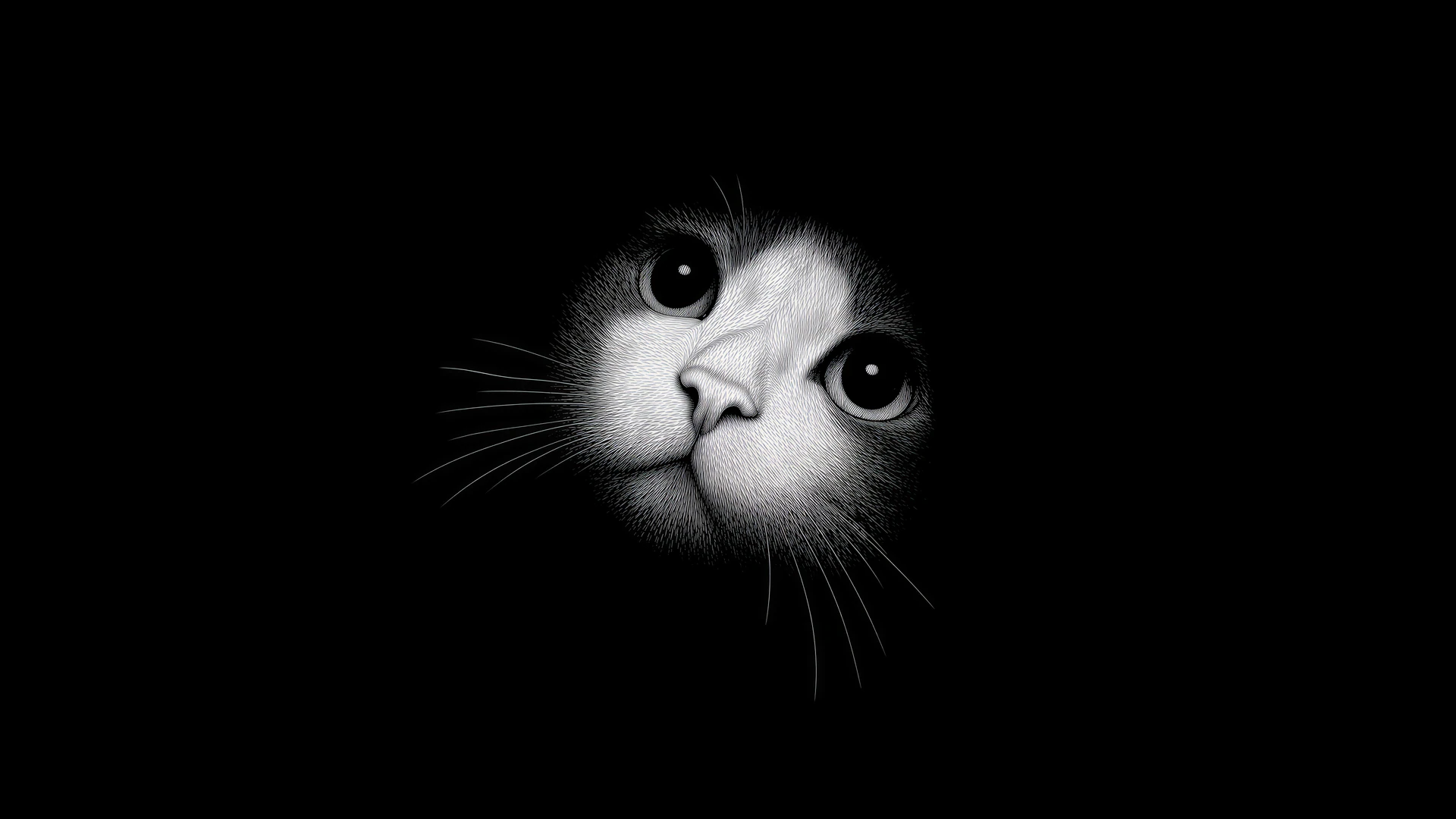 A curious cat emerges from the darkness in striking monochrome detail. Its wide eyes and delicate whiskers create a mysterious, minimalist wallpaper.