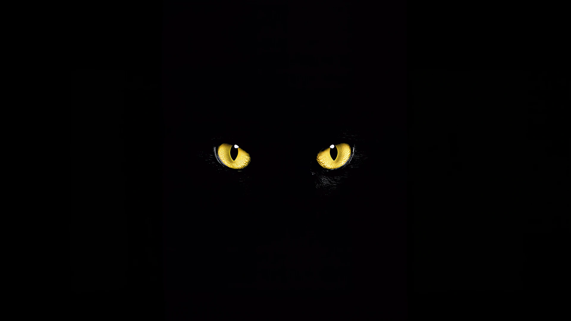Haunting minimalist wallpaper featuring piercing golden cat eyes glowing against pure black void. Perfect for those who love dark, atmospheric, and mysteriou…